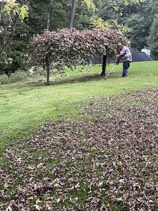 BOSS Services yard work photo