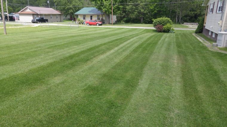 BOSS Services freshly mowed lawn